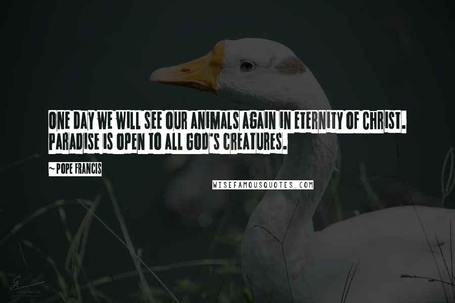 Pope Francis Quotes: One day we will see our animals again in eternity of Christ. Paradise is open to all God's creatures.