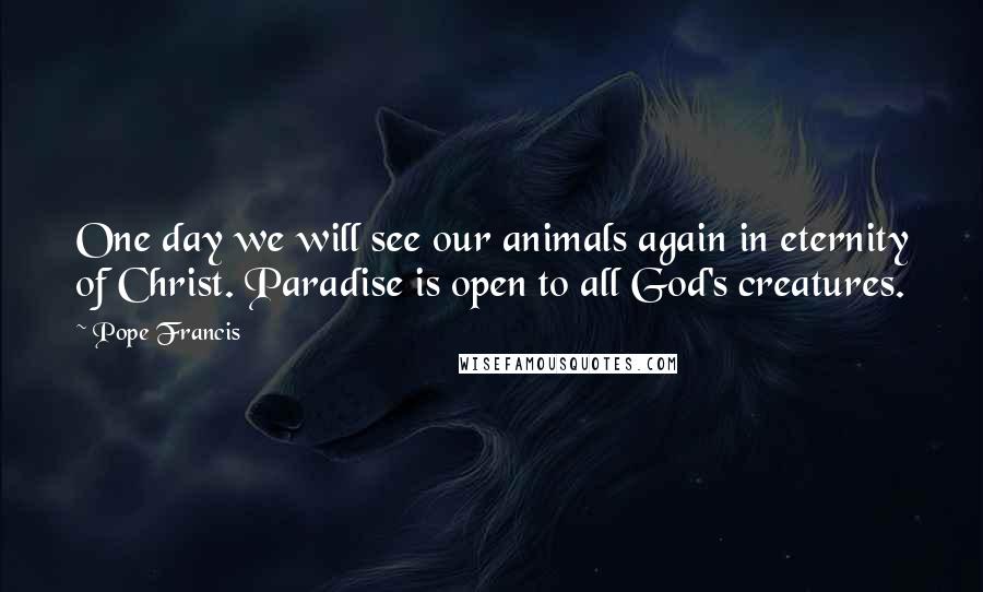 Pope Francis Quotes: One day we will see our animals again in eternity of Christ. Paradise is open to all God's creatures.