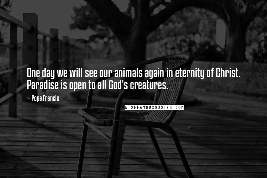 Pope Francis Quotes: One day we will see our animals again in eternity of Christ. Paradise is open to all God's creatures.