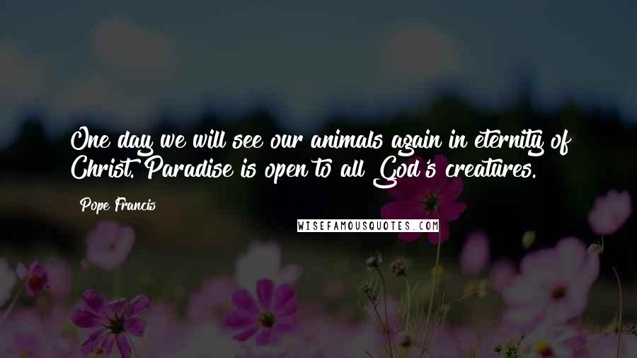 Pope Francis Quotes: One day we will see our animals again in eternity of Christ. Paradise is open to all God's creatures.