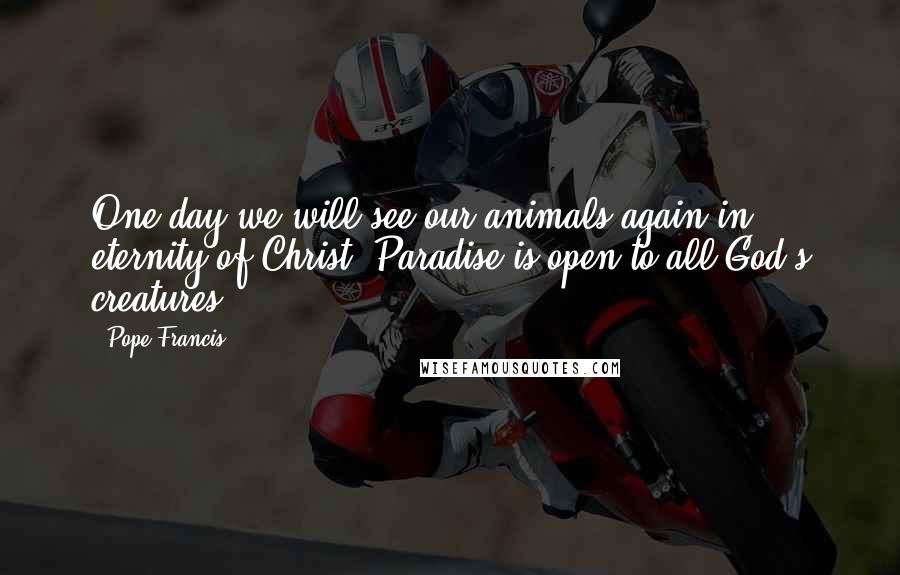 Pope Francis Quotes: One day we will see our animals again in eternity of Christ. Paradise is open to all God's creatures.