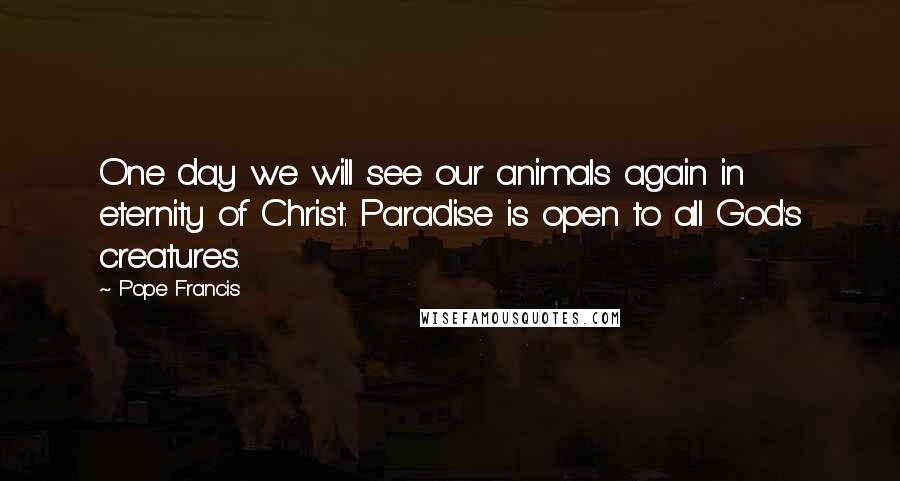 Pope Francis Quotes: One day we will see our animals again in eternity of Christ. Paradise is open to all God's creatures.