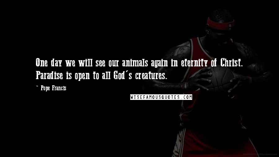 Pope Francis Quotes: One day we will see our animals again in eternity of Christ. Paradise is open to all God's creatures.