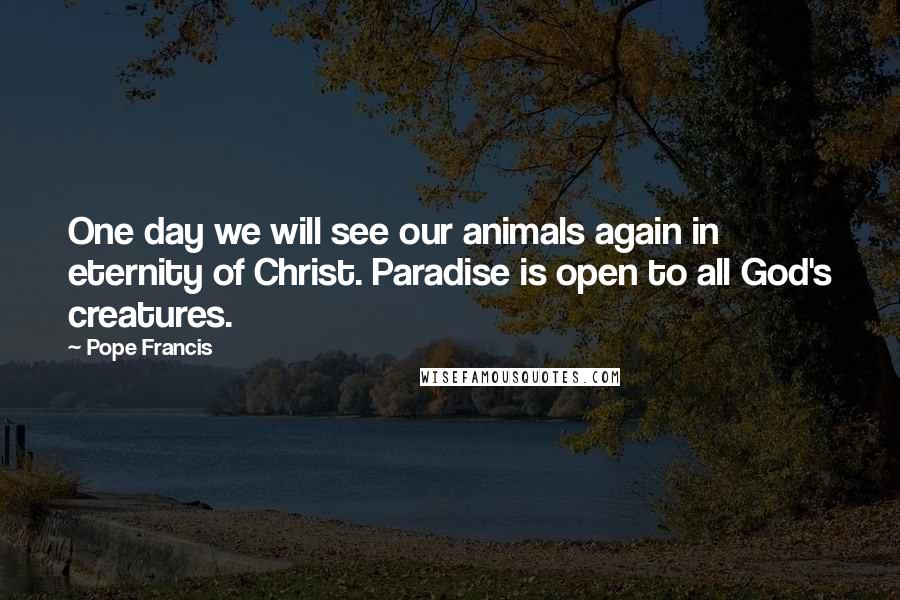 Pope Francis Quotes: One day we will see our animals again in eternity of Christ. Paradise is open to all God's creatures.