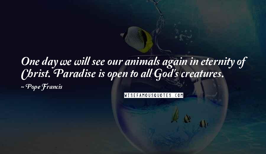 Pope Francis Quotes: One day we will see our animals again in eternity of Christ. Paradise is open to all God's creatures.