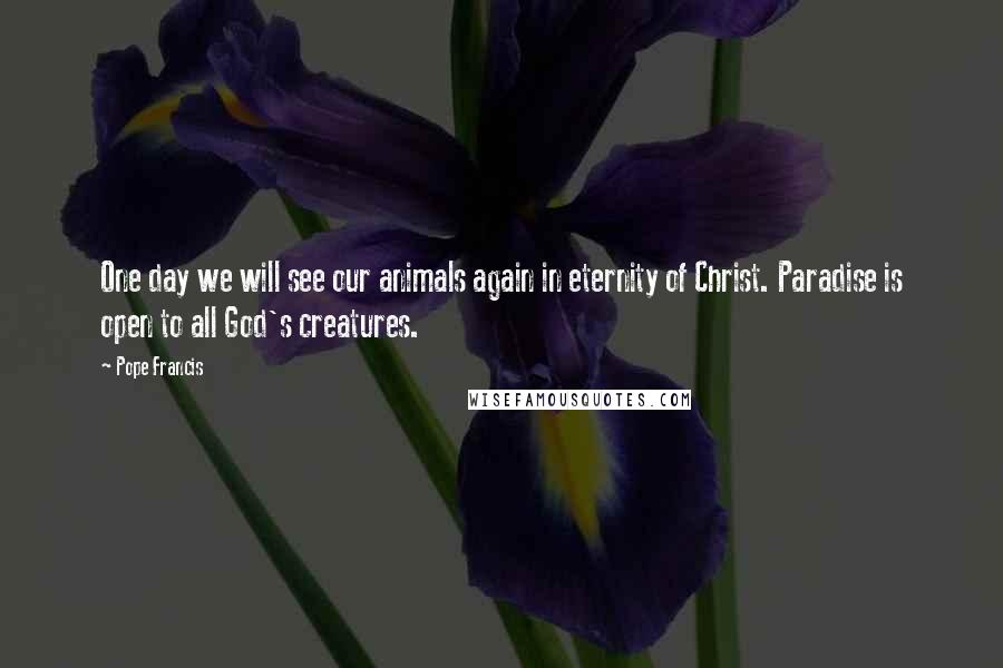 Pope Francis Quotes: One day we will see our animals again in eternity of Christ. Paradise is open to all God's creatures.