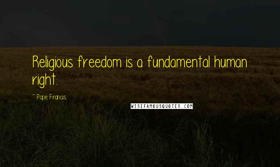 Pope Francis Quotes: Religious freedom is a fundamental human right.