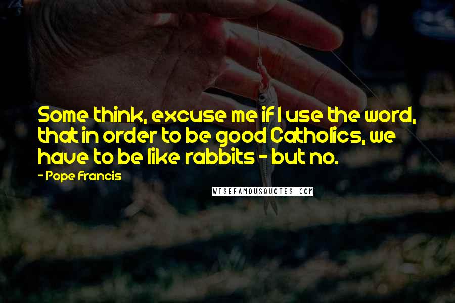 Pope Francis Quotes: Some think, excuse me if I use the word, that in order to be good Catholics, we have to be like rabbits - but no.