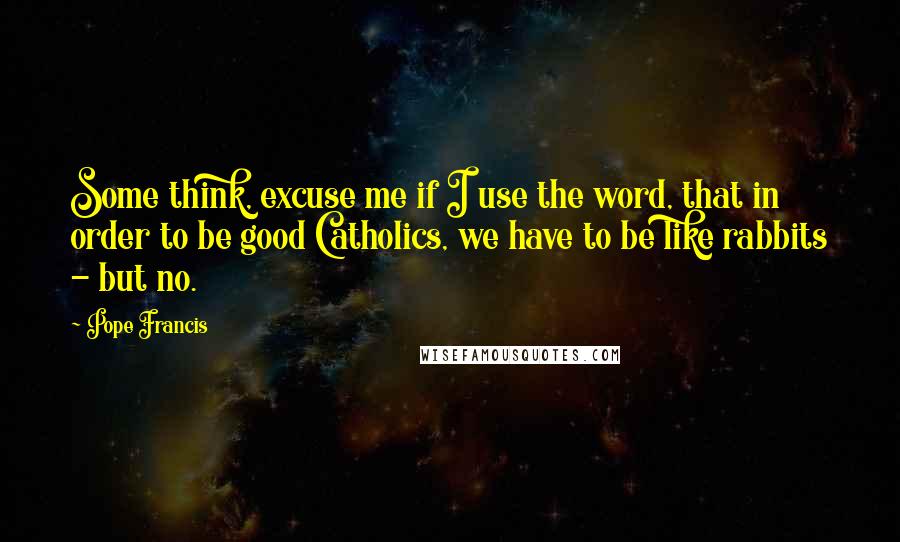 Pope Francis Quotes: Some think, excuse me if I use the word, that in order to be good Catholics, we have to be like rabbits - but no.