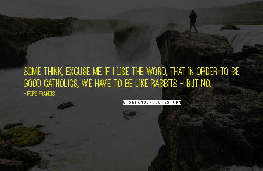 Pope Francis Quotes: Some think, excuse me if I use the word, that in order to be good Catholics, we have to be like rabbits - but no.