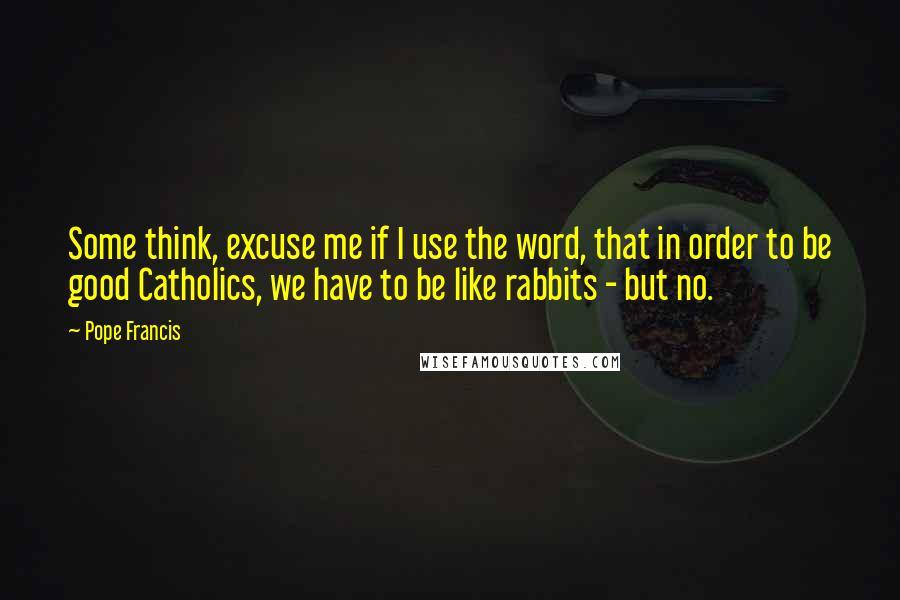 Pope Francis Quotes: Some think, excuse me if I use the word, that in order to be good Catholics, we have to be like rabbits - but no.