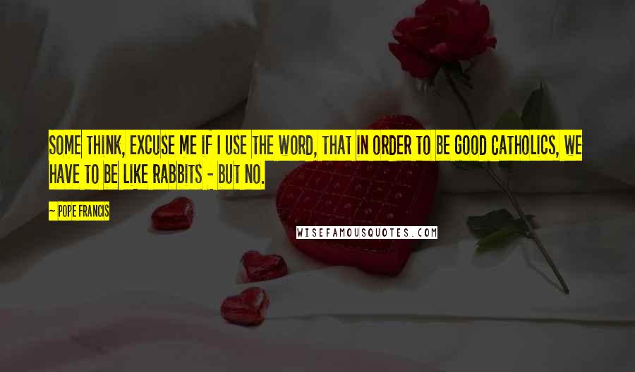 Pope Francis Quotes: Some think, excuse me if I use the word, that in order to be good Catholics, we have to be like rabbits - but no.