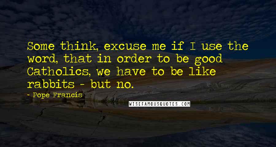 Pope Francis Quotes: Some think, excuse me if I use the word, that in order to be good Catholics, we have to be like rabbits - but no.