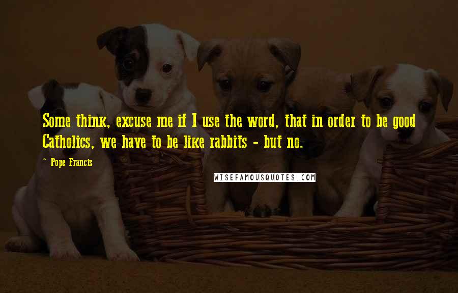 Pope Francis Quotes: Some think, excuse me if I use the word, that in order to be good Catholics, we have to be like rabbits - but no.