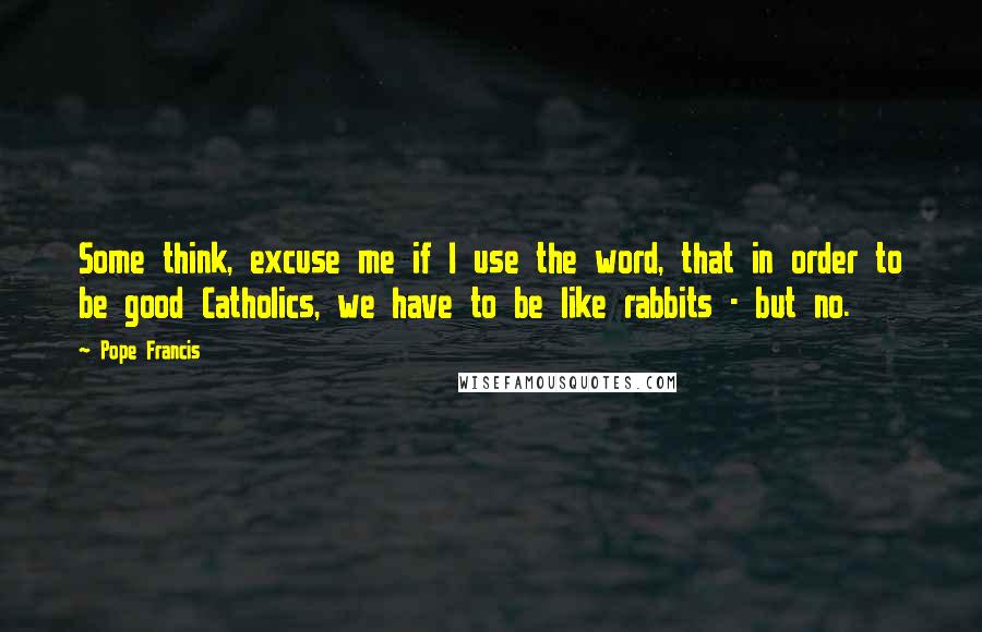 Pope Francis Quotes: Some think, excuse me if I use the word, that in order to be good Catholics, we have to be like rabbits - but no.