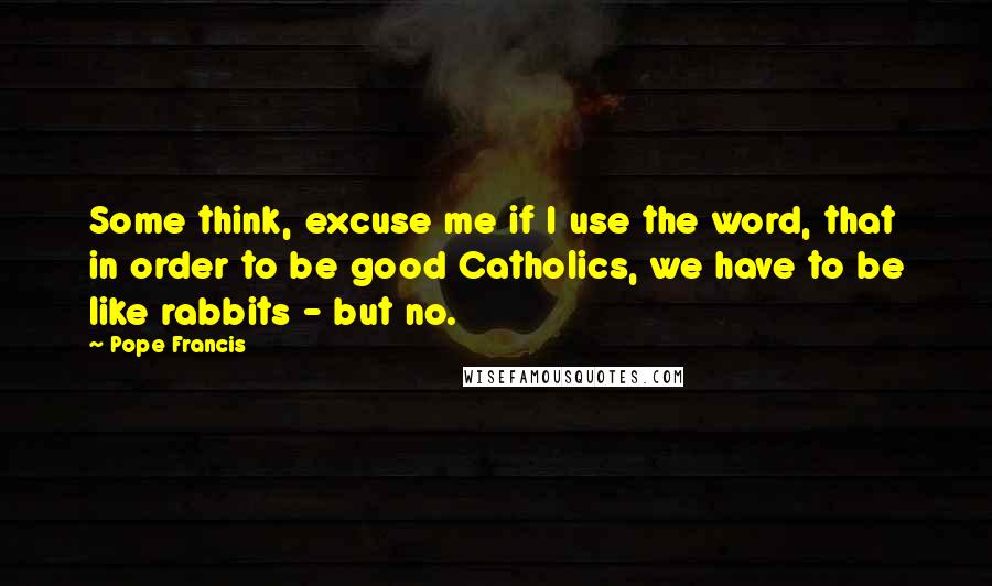 Pope Francis Quotes: Some think, excuse me if I use the word, that in order to be good Catholics, we have to be like rabbits - but no.