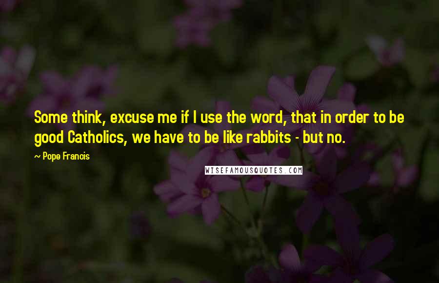 Pope Francis Quotes: Some think, excuse me if I use the word, that in order to be good Catholics, we have to be like rabbits - but no.