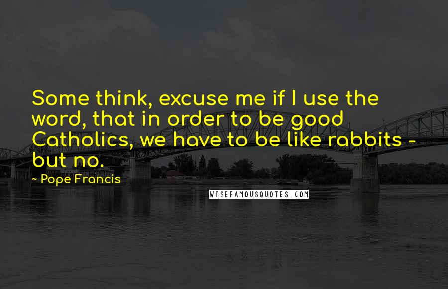 Pope Francis Quotes: Some think, excuse me if I use the word, that in order to be good Catholics, we have to be like rabbits - but no.