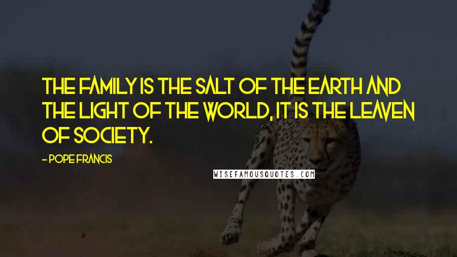 Pope Francis Quotes: The Family is the salt of the earth and the light of the world, it is the leaven of society.