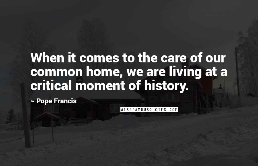 Pope Francis Quotes: When it comes to the care of our common home, we are living at a critical moment of history.