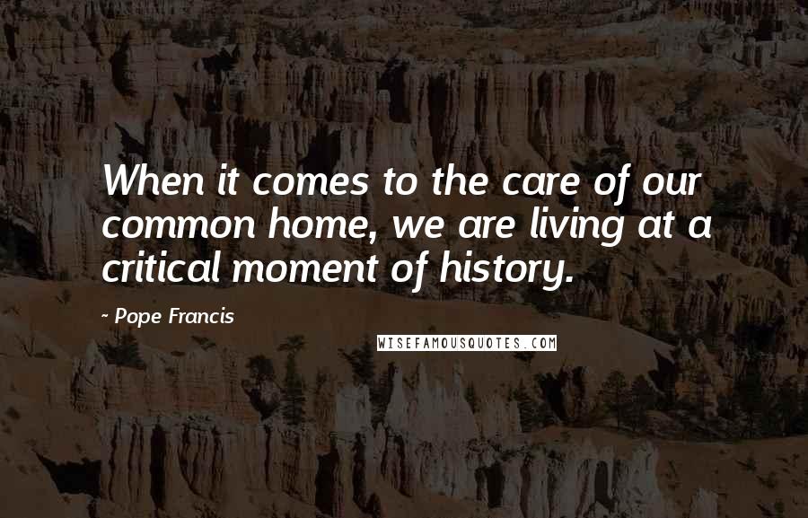 Pope Francis Quotes: When it comes to the care of our common home, we are living at a critical moment of history.