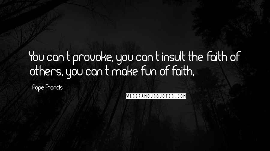 Pope Francis Quotes: You can't provoke, you can't insult the faith of others, you can't make fun of faith,