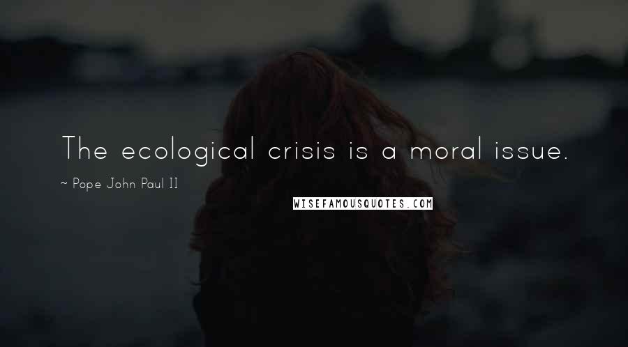 Pope John Paul II Quotes: The ecological crisis is a moral issue.