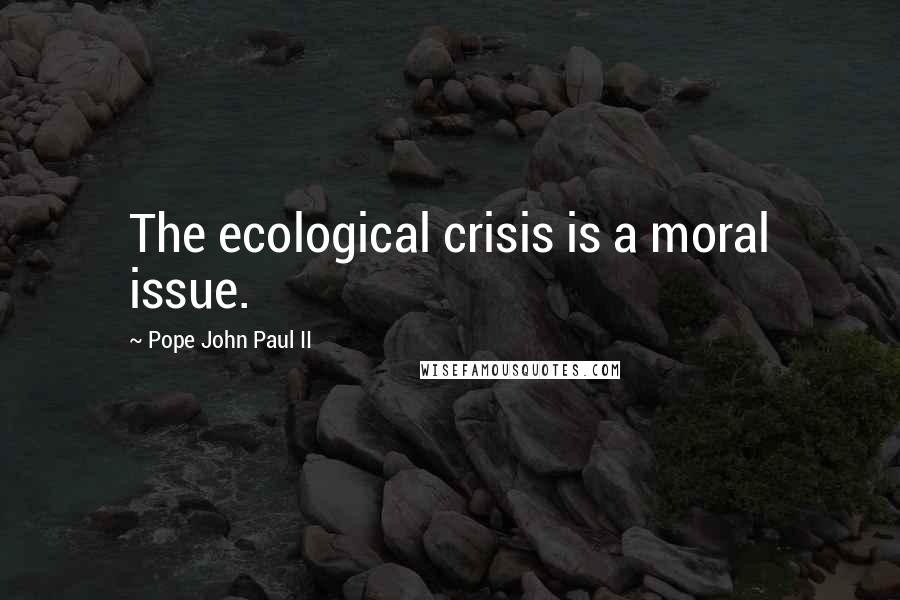 Pope John Paul II Quotes: The ecological crisis is a moral issue.