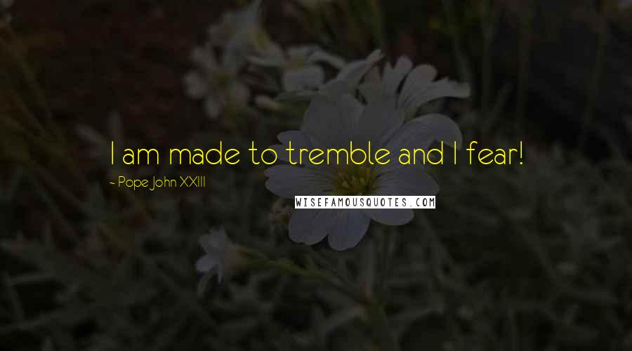 Pope John XXIII Quotes: I am made to tremble and I fear!