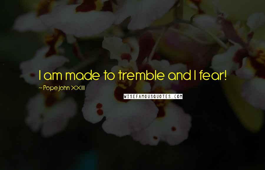 Pope John XXIII Quotes: I am made to tremble and I fear!