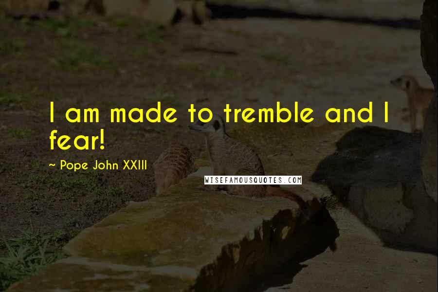 Pope John XXIII Quotes: I am made to tremble and I fear!