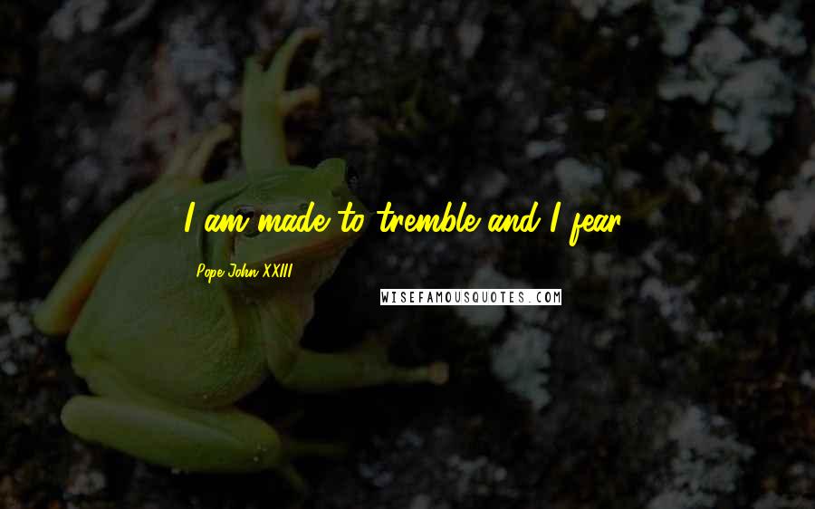 Pope John XXIII Quotes: I am made to tremble and I fear!