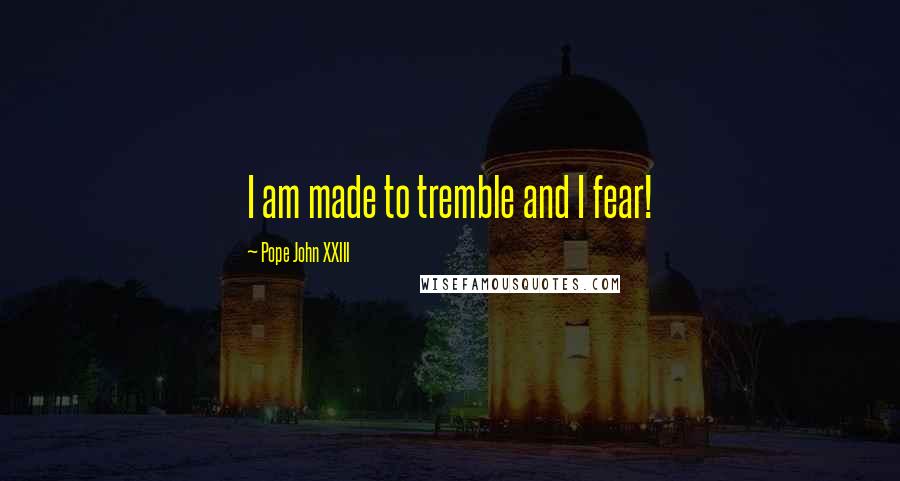 Pope John XXIII Quotes: I am made to tremble and I fear!