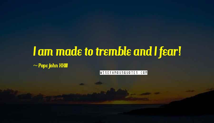 Pope John XXIII Quotes: I am made to tremble and I fear!