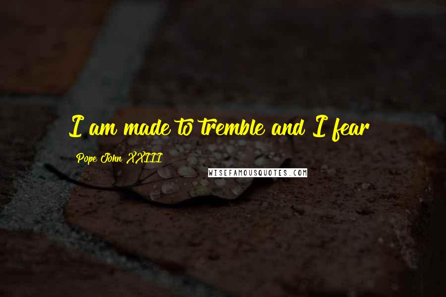 Pope John XXIII Quotes: I am made to tremble and I fear!