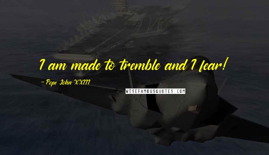 Pope John XXIII Quotes: I am made to tremble and I fear!