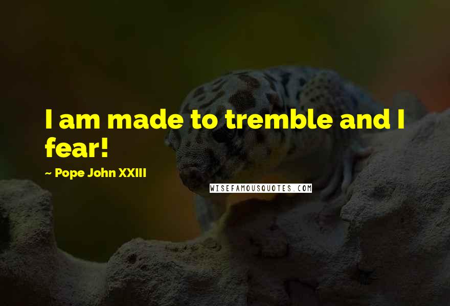 Pope John XXIII Quotes: I am made to tremble and I fear!