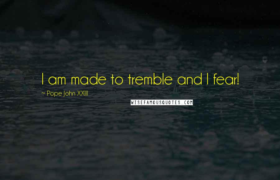 Pope John XXIII Quotes: I am made to tremble and I fear!