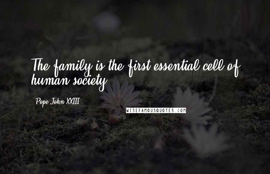 Pope John XXIII Quotes: The family is the first essential cell of human society.