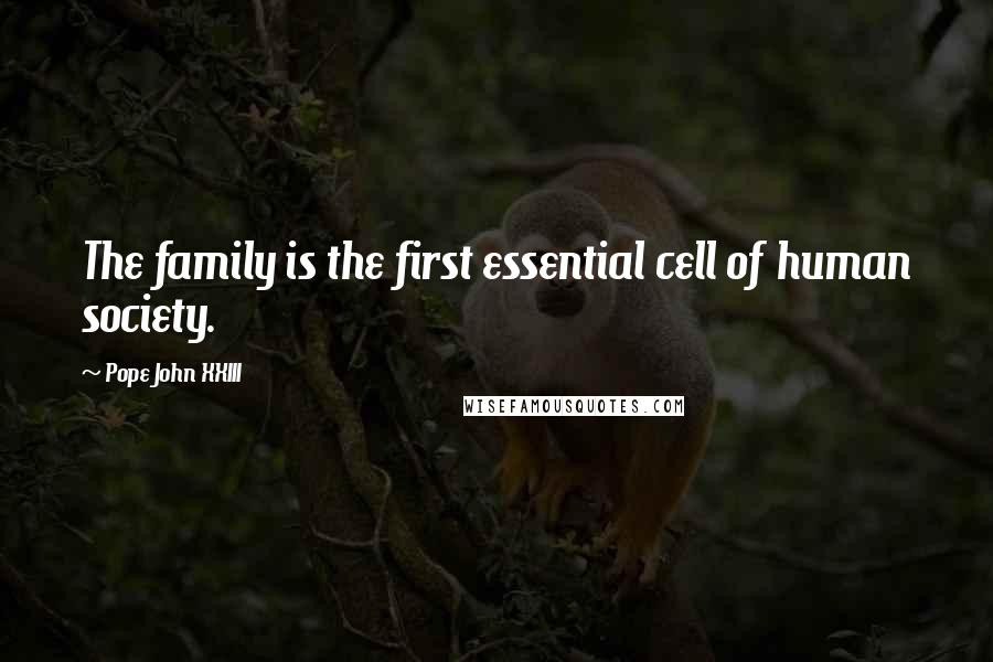 Pope John XXIII Quotes: The family is the first essential cell of human society.