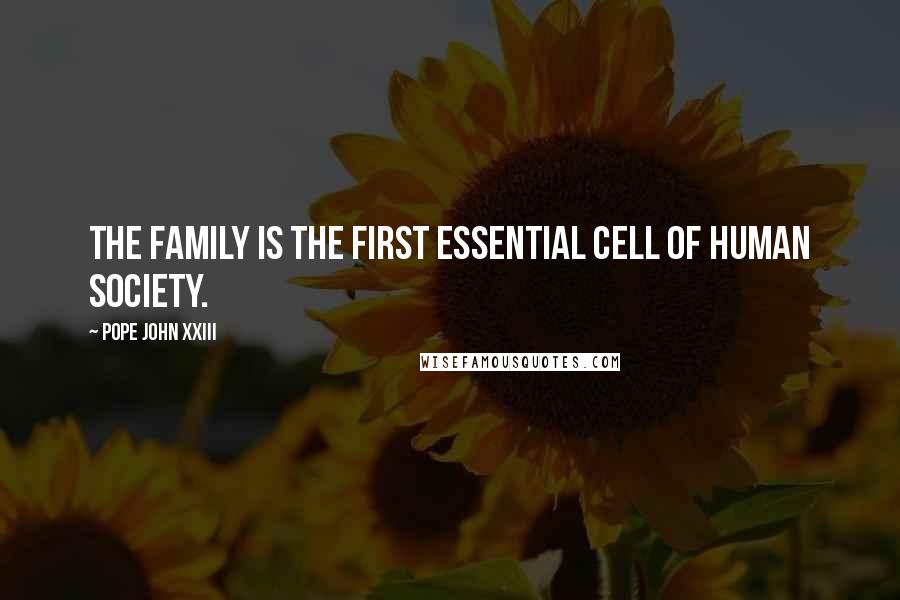 Pope John XXIII Quotes: The family is the first essential cell of human society.