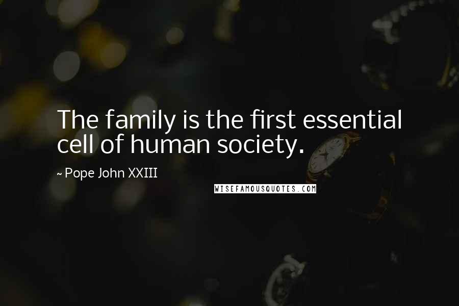 Pope John XXIII Quotes: The family is the first essential cell of human society.