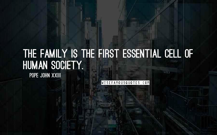 Pope John XXIII Quotes: The family is the first essential cell of human society.