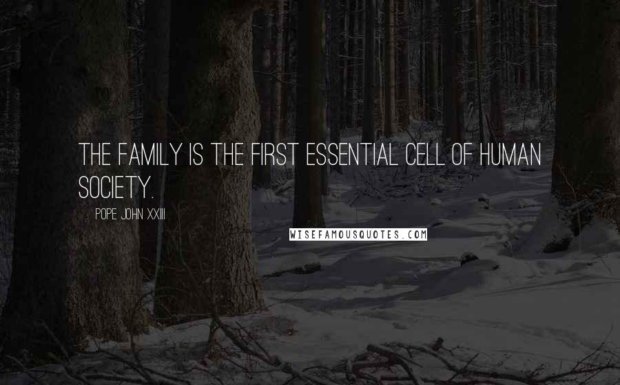 Pope John XXIII Quotes: The family is the first essential cell of human society.
