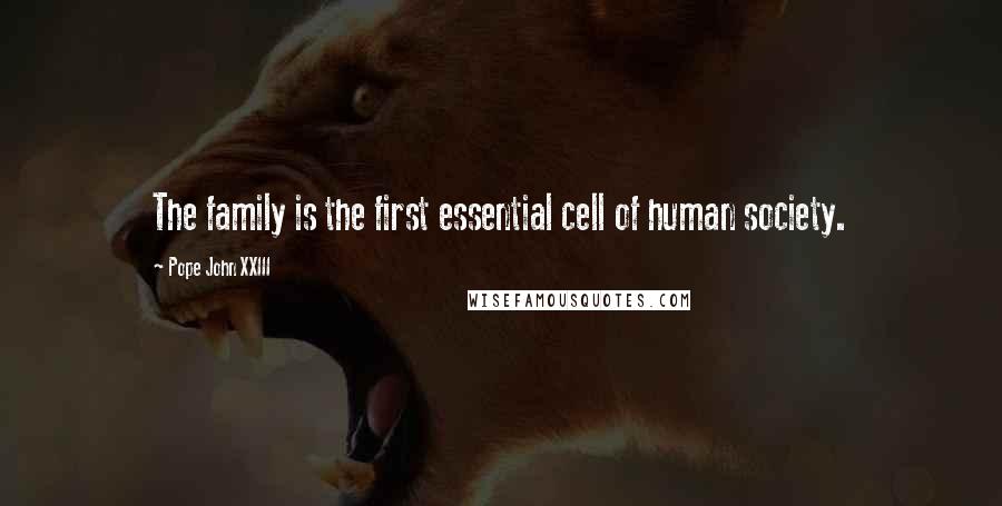 Pope John XXIII Quotes: The family is the first essential cell of human society.