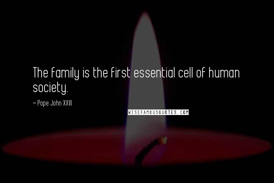 Pope John XXIII Quotes: The family is the first essential cell of human society.