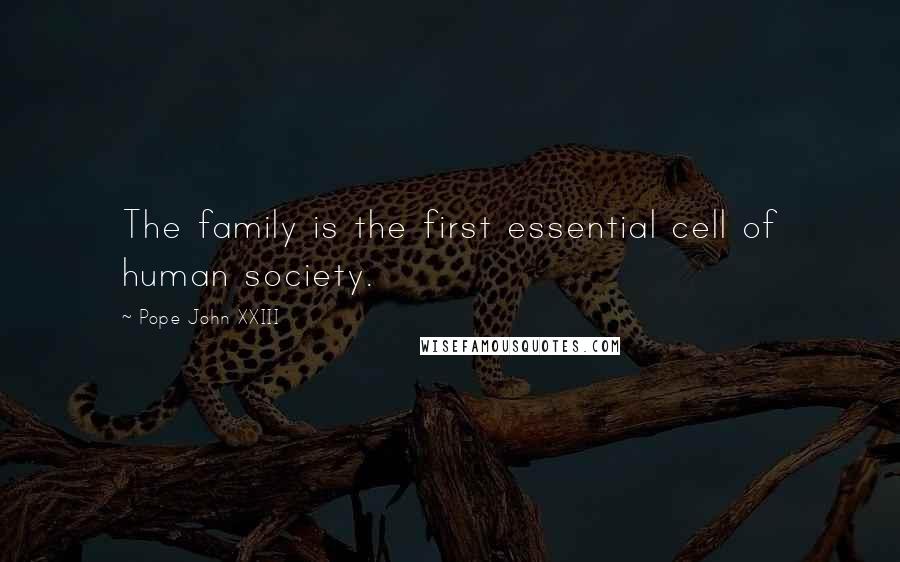Pope John XXIII Quotes: The family is the first essential cell of human society.