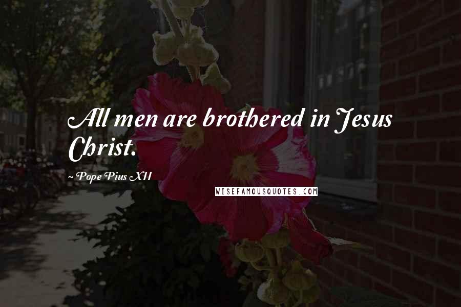 Pope Pius XII Quotes: All men are brothered in Jesus Christ.