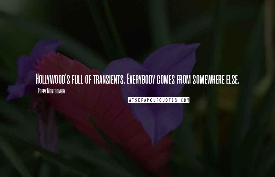 Poppy Montgomery Quotes: Hollywood's full of transients. Everybody comes from somewhere else.