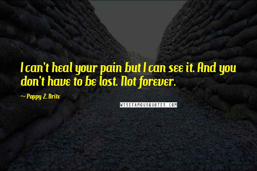 Poppy Z. Brite Quotes: I can't heal your pain but I can see it. And you don't have to be lost. Not forever.